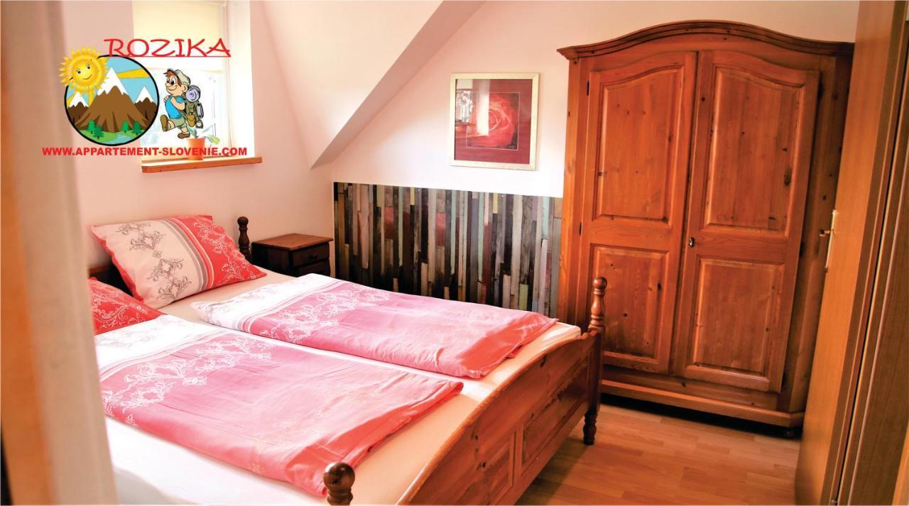 Apartment Rozika Slovenj Gradec Exterior photo