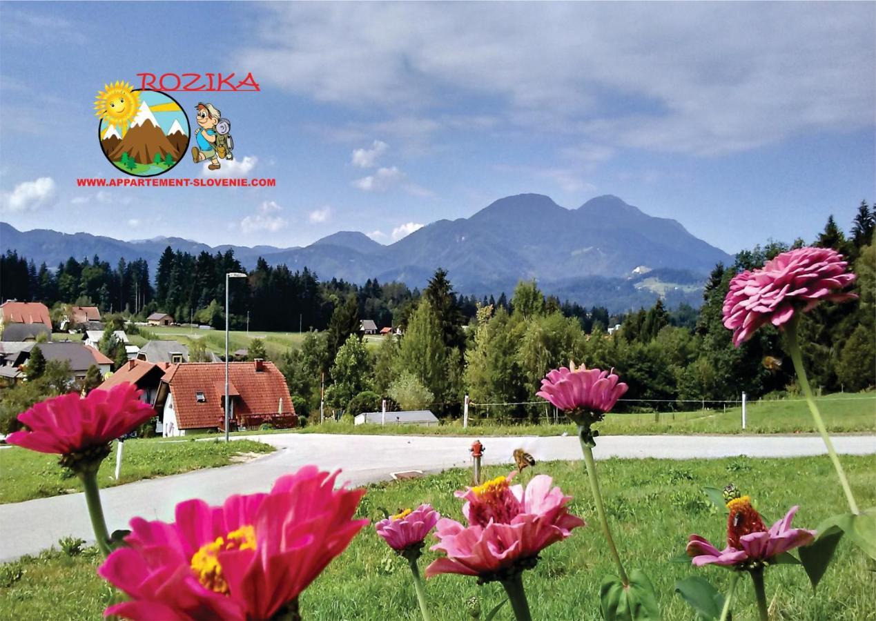 Apartment Rozika Slovenj Gradec Exterior photo