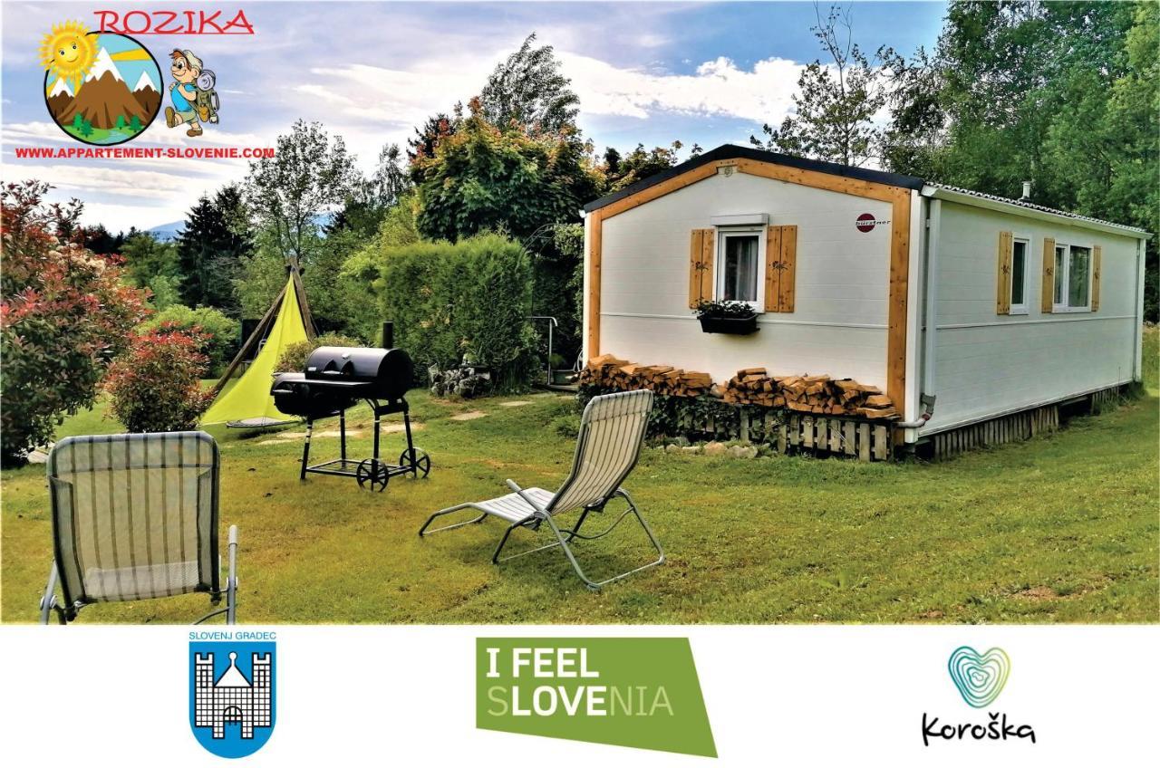 Apartment Rozika Slovenj Gradec Exterior photo